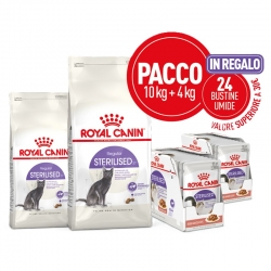 Royal Canin Sterilised 37 cibo secco per gatti adulti sterilizzati 10 + 4 Kg