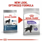 Royal Canin Maxi Adult Sterilised cibo secco per cani grandi sterilizzati