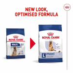 Royal Canin Maxi Adult 5+ cibo secco per cani anziani di taglia grande