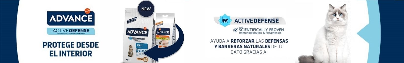 advance_gatos.jpg