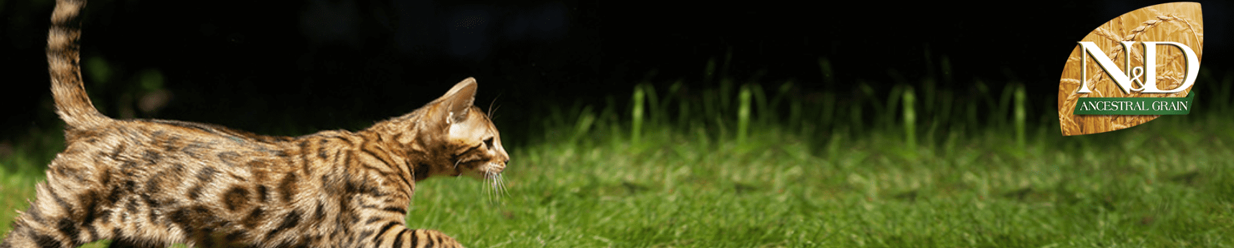 _ANCESTRAL_GRAIN_FARMINA (1)-min.png