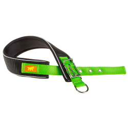Collar Nylon Daytona Comfort Cf Green para perros Ferplast