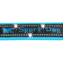 Correa Sport Dog Matic G20 120 Blue para perros Ferplast