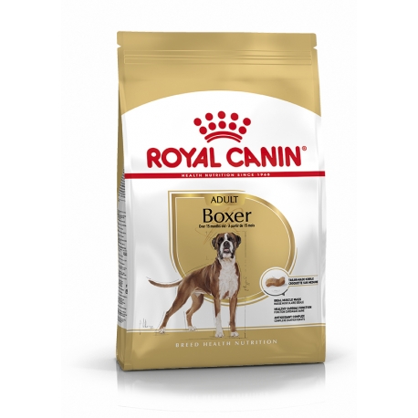 Boxer Adulto (6)