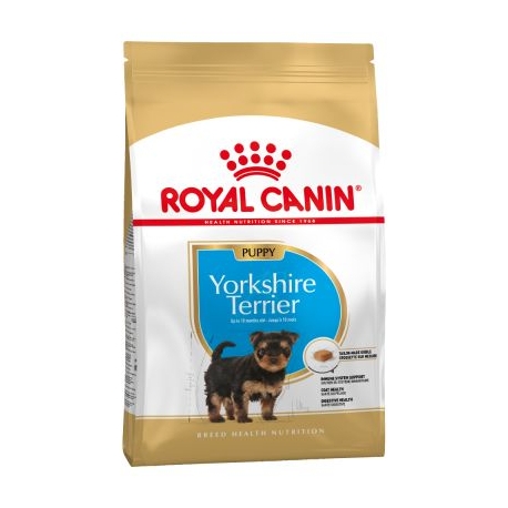 Yorkshire Terrier Cachorro (1)