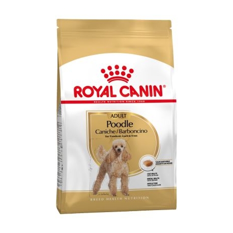 Royal Canin-Caniche Adulto (1)