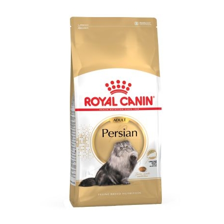 Persian Adulto (6)