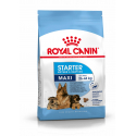 Royal Canin-Maxi Starter Mother&Babydog (1)