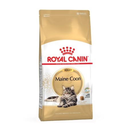 Royal Canin-Maine Coon Adult (1)