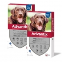 Advantix pack 2 unidades (8 pipetas) para cães de grande porte (+25kg)