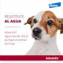 Advantix-0-4 KG Pipetas Triple Protección (1)