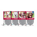 Advantix 4-10 KG Pipetas Triple Protección (1)