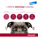 Advantix 4-10 KG Pipetas Triple Protección (1)
