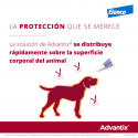 Advantix 4-10 KG Pipetas Triple Protección (1)