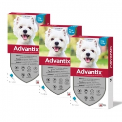 Advantix pack 3 unidades (12 Pipetas) para cães de pequeno porte (4-10kg)