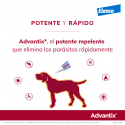 Advantix 10-25 KG Pipetas Triple Protección (6)