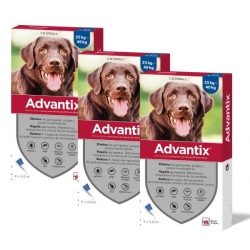 Advantix pack 3 unidades (12 Pipetas) para cães de grande porte (+25kg)
