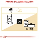 Royal Canin Persian pack de sobres para gatos adultos