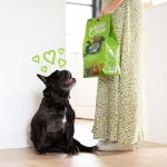 Pienso para perros Edgard & Cooper sin cereales de cordero