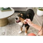 Whimzees Antler Snack Dental S Para perros Pequeños