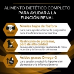 Purina Veterinary Diets-NF Función Renal para Perro (1)