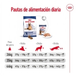 Royal Canin Maxi Ageing 8+ ração para cães de raças grandes em idade avançada