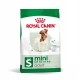 Royal Canin Mini Adulto ração para cães adultos de porte pequeno