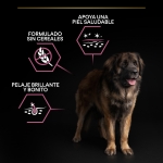 Purina Pro Plan-OptiDerma Adult Large Robust Sensitive Skin (1)