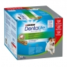 Dentalife Snack Dental Para Cães Pequenos de 7 a 12 kg