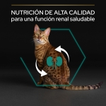Purina Pro Plan-Adulto Pollo (1)