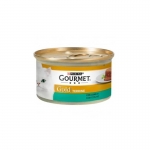 Gourmet Gold-Pack Terrine Sabores Surtidos (1)