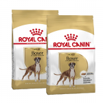Boxer Adulto (6)