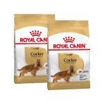 Royal Canin-Cocker Adulto (1)