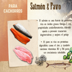 Carnilove Dog Puppy sabor Salmon Pavo