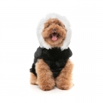Fuzzyard Sudadera Halloween Esqueleto para Perros