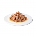 Advance Veterinary Diets Recovery Comida Húmeda para Perros y Gatos