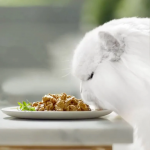 Gourmet Perle Delicias del Océano Comida Húmeda para Gatos con Pollo y Buey