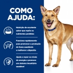 Hills Prescription Diet-PD Canine i/d. (1)