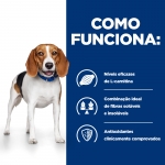 Hills Prescription Diet-PD Canine r/d. (1)