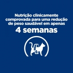 Hills Prescription Diet-PD Feline r/d (1)