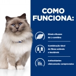Hills Prescription Diet-PD Feline r/d (1)