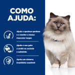 Hills Prescription Diet-PD Feline r/d (1)