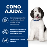 Hills Prescription Diet-PD Canine c/d (1)