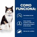 Hills Prescription Diet-PD Feline y/d (1)