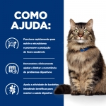 Ração Hills para gatos com problemas intestinais