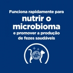 Ração Hills para gatos com problemas intestinais