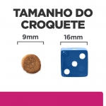 Ração Hills para gatos com problemas intestinais