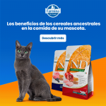 Farmina ND Cat Ancestral Grain Neutered Cordero pienso para gatos esterilizados