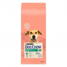 Purina Dog Chow Adulto Ração para Cães com Frango