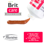 Brit care cat pasta anti hairball con taurina